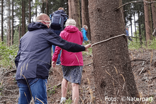 Die angehenden Naturparkführer im Fichtenwald, nah zu den Bäumen..