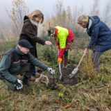 2024-11-19 Pflanzg Naturpark_ (4)