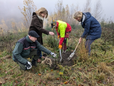 2024-11-19 Pflanzg Naturpark_ (4)